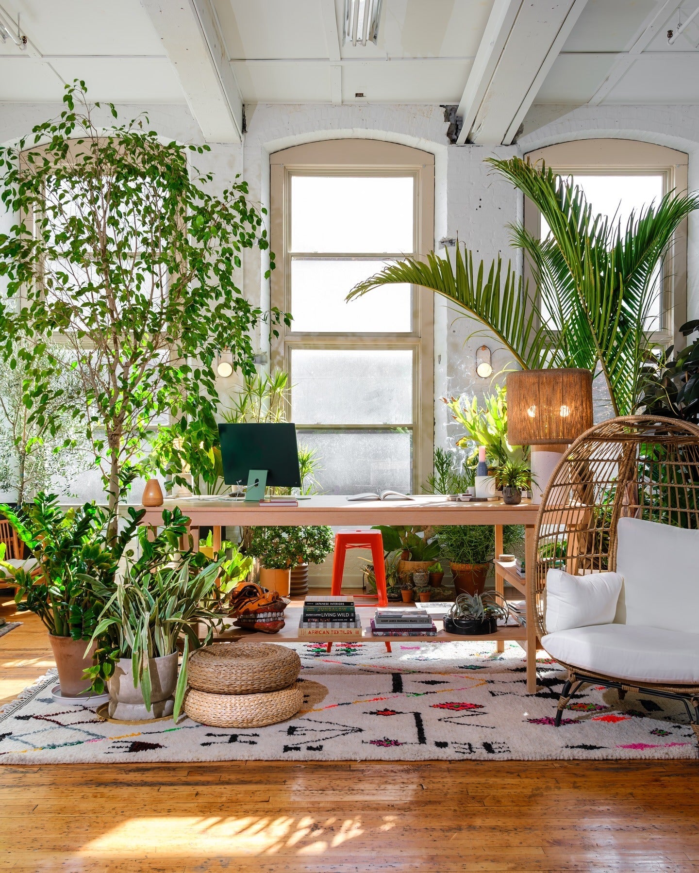 15 Plant Living Room Ideas Designers Love