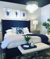 22 Breezy Coastal Bedroom Ideas with Natural Texture