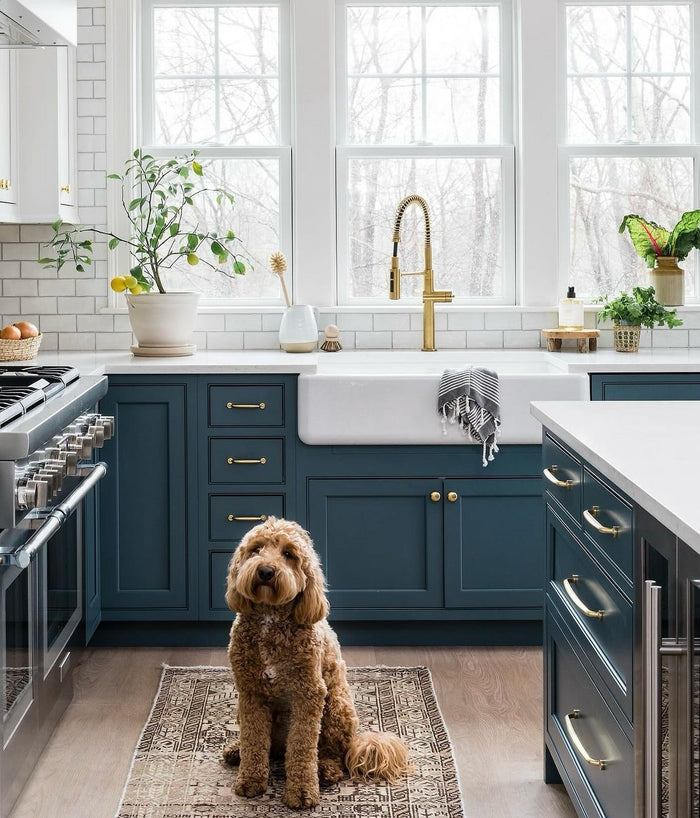 15 Navy Blue Kitchen Ideas You’ll Instantly Love