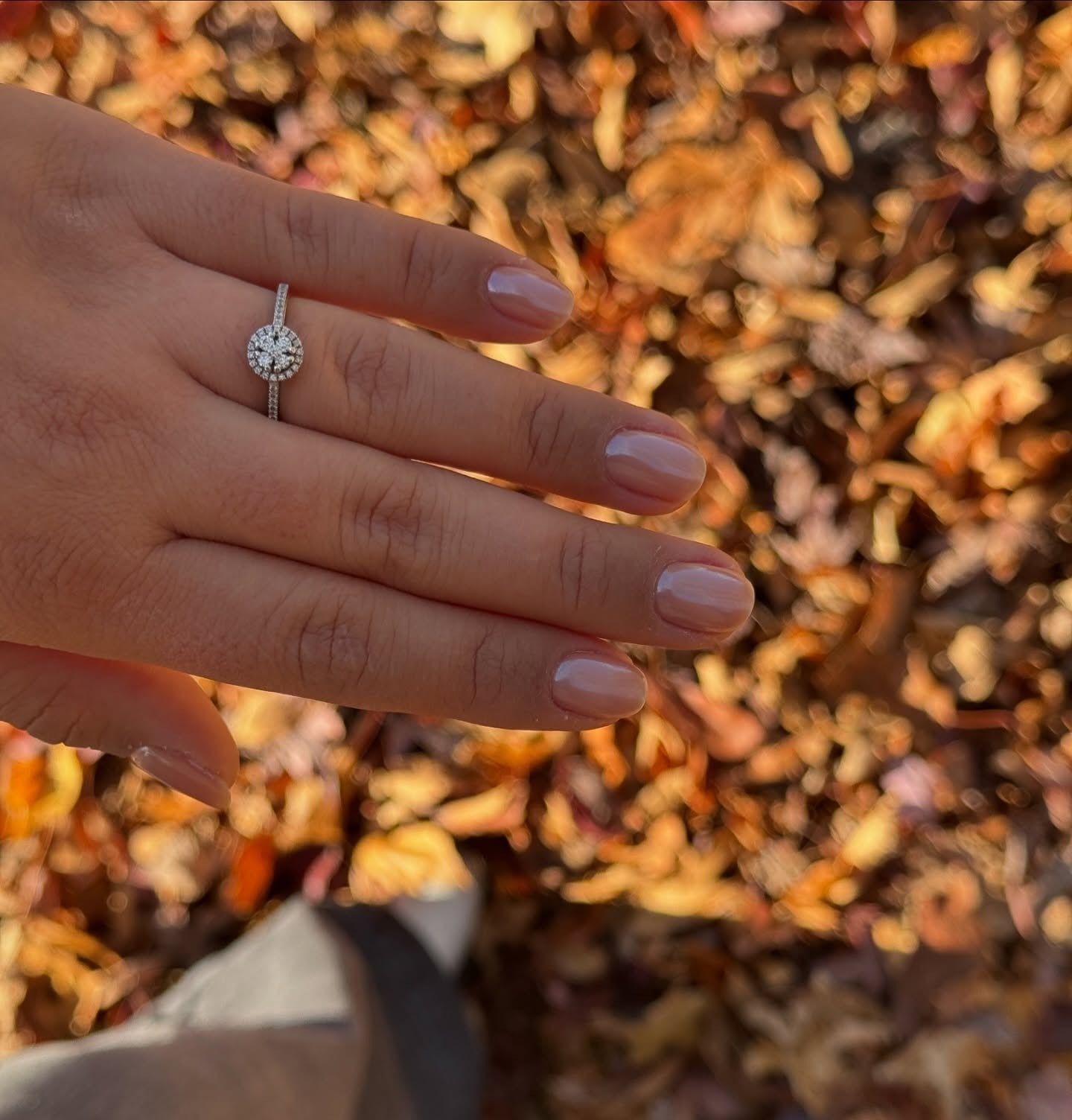 15 Short Fall Nail Ideas That Feel So Chic