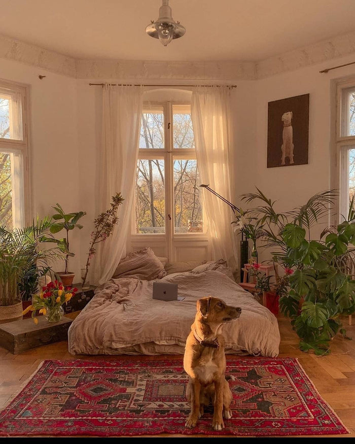 15 Cozy Jungle Bedroom Ideas