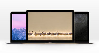 The New MacBook Photoshop Mockup