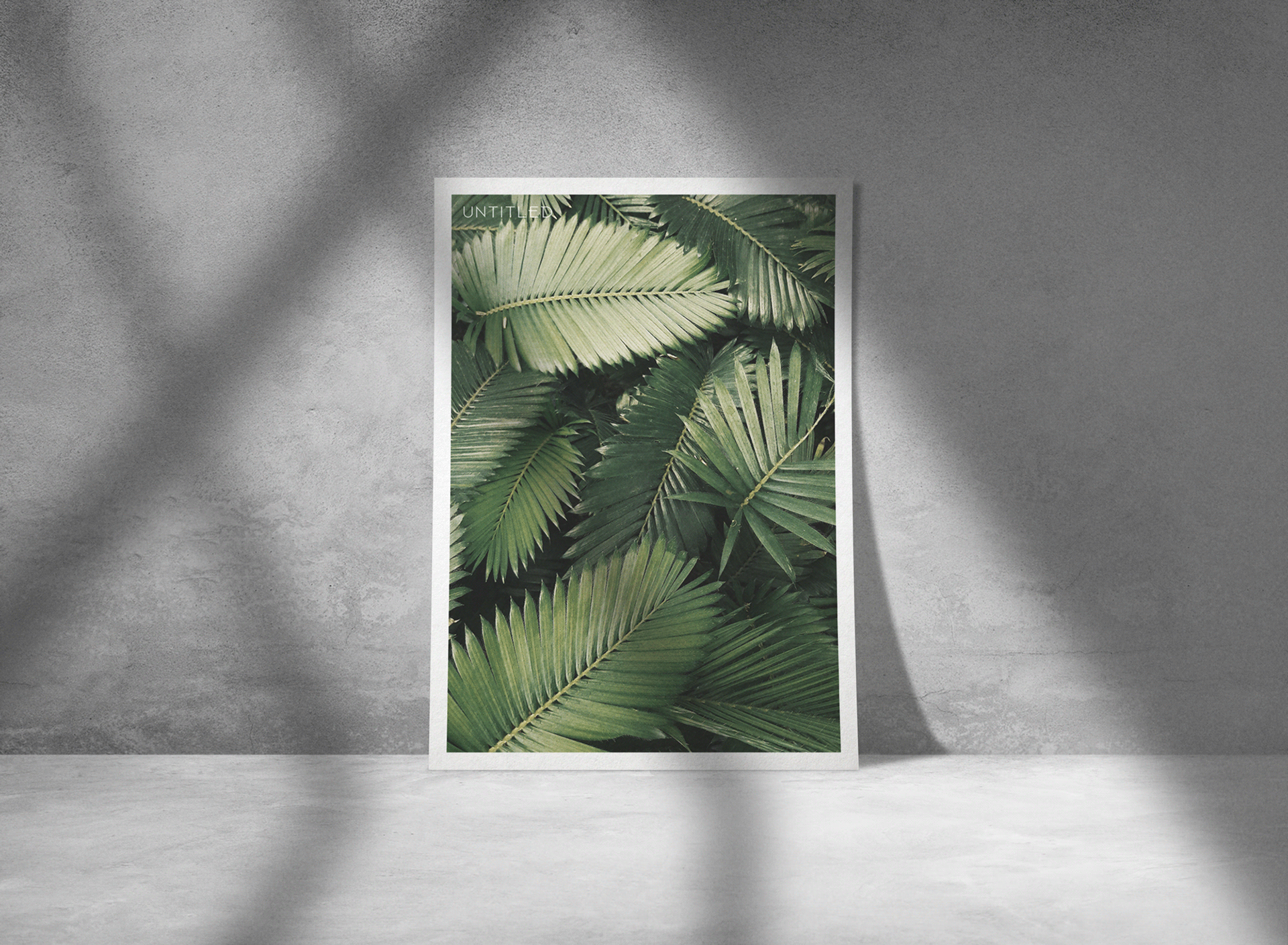 A4 Letterhead Flyer & Poster Mockup