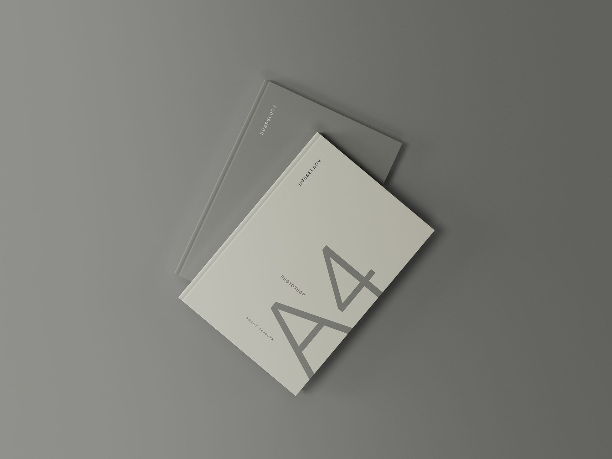 2 Hardcover Books Mockup