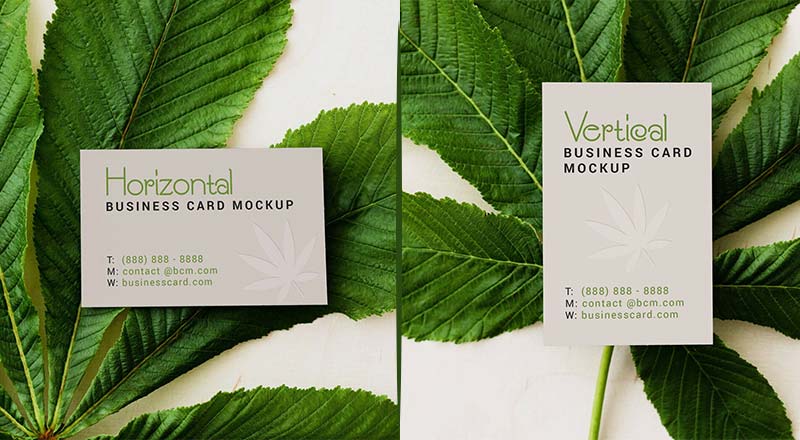2 Horizontal & Vertical Business Card Mockup Psd Set