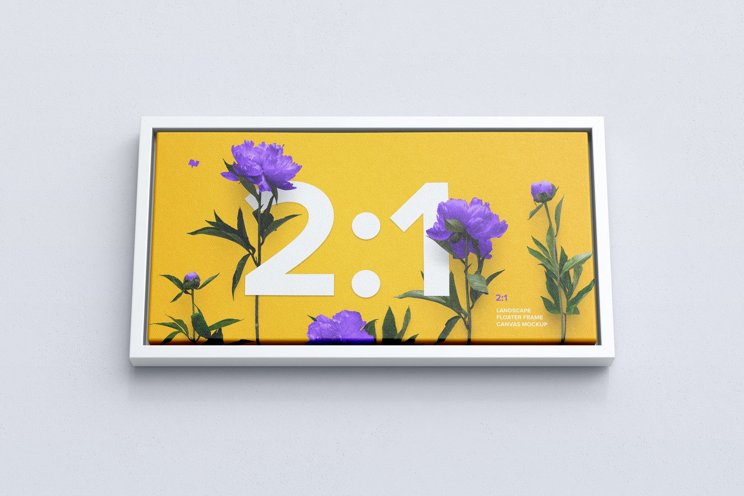 2:1 Landscape Canvas Mockup In Floater Frame, Bottom Front View