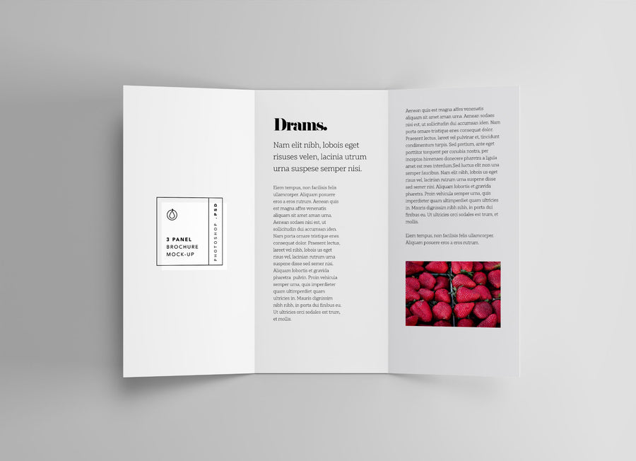 3 Panel Brochure Mockup