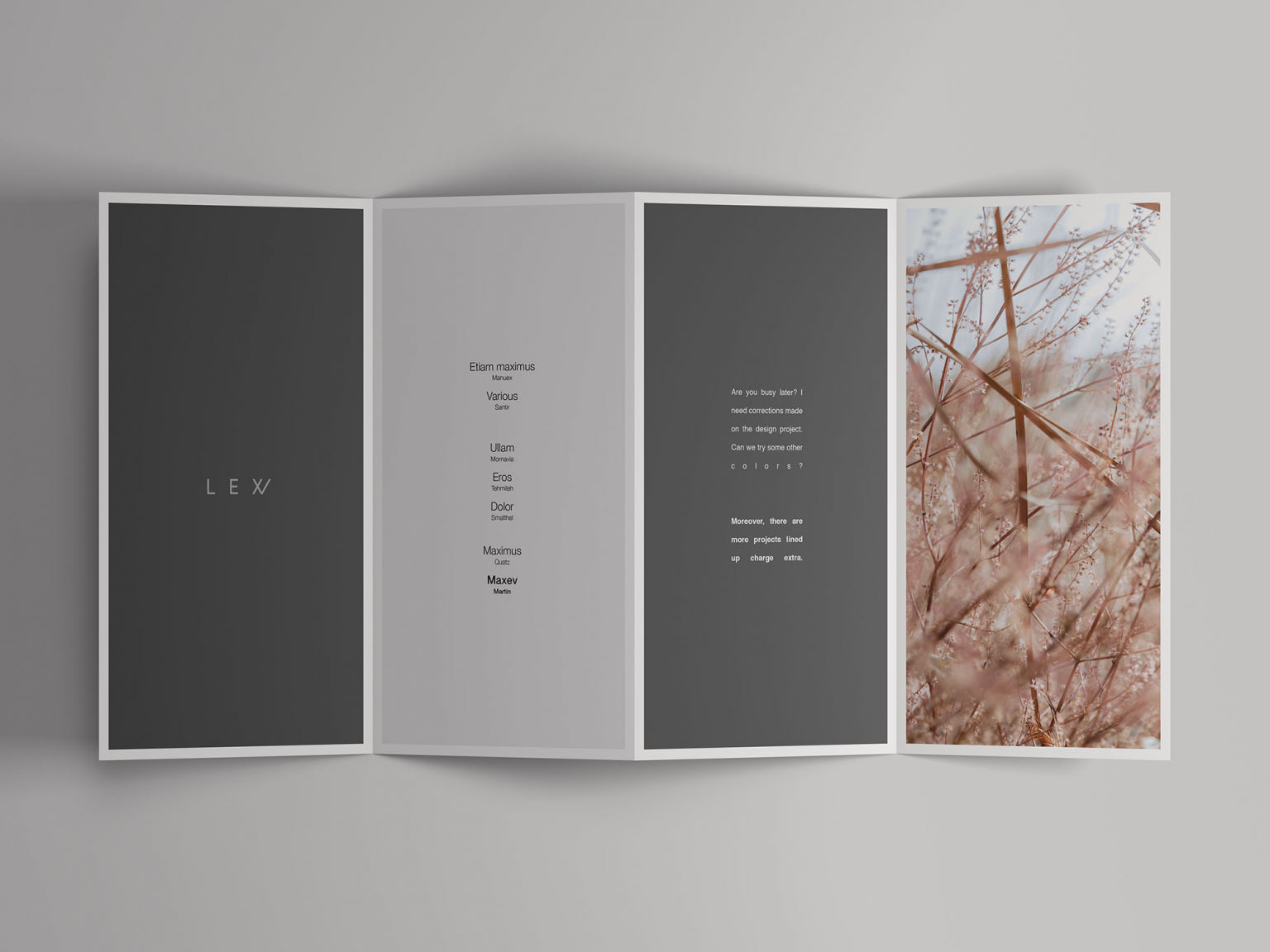 4-Fold Open Brochure Mockup