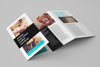 4-Panel Leaflet Mockup