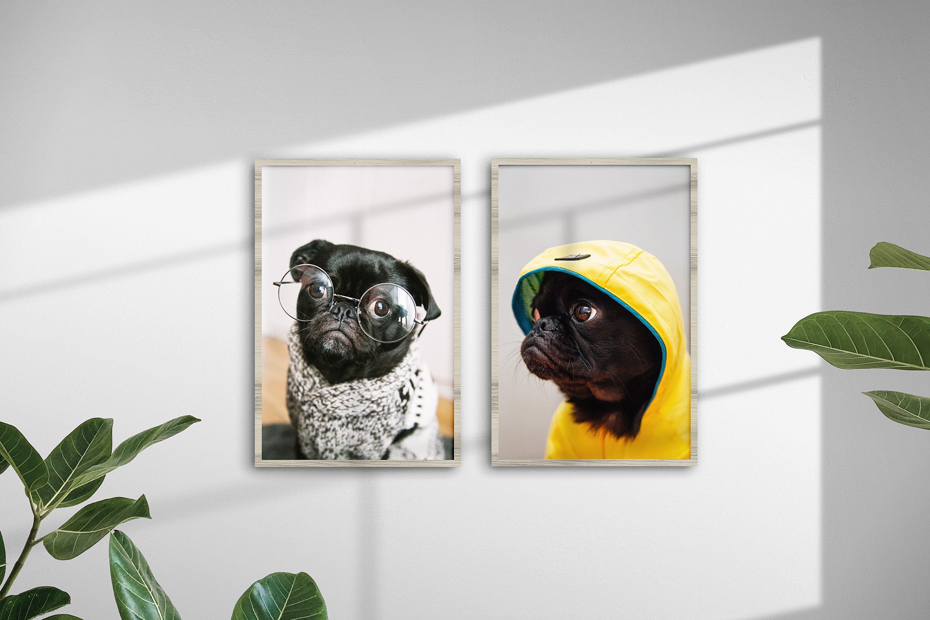 Athena - 2:3 Frame PSD Mockup Scene Creator