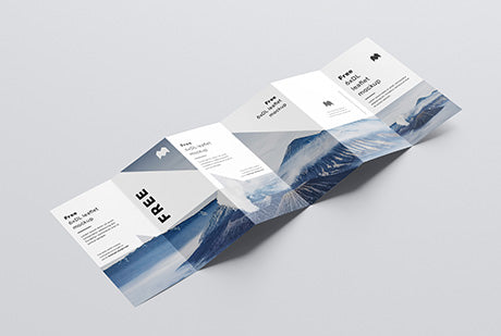 6Xdl Leaflet Mockup