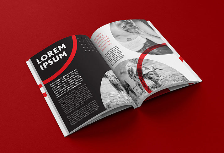 7 Views of Thick Book or Brochure Mockup