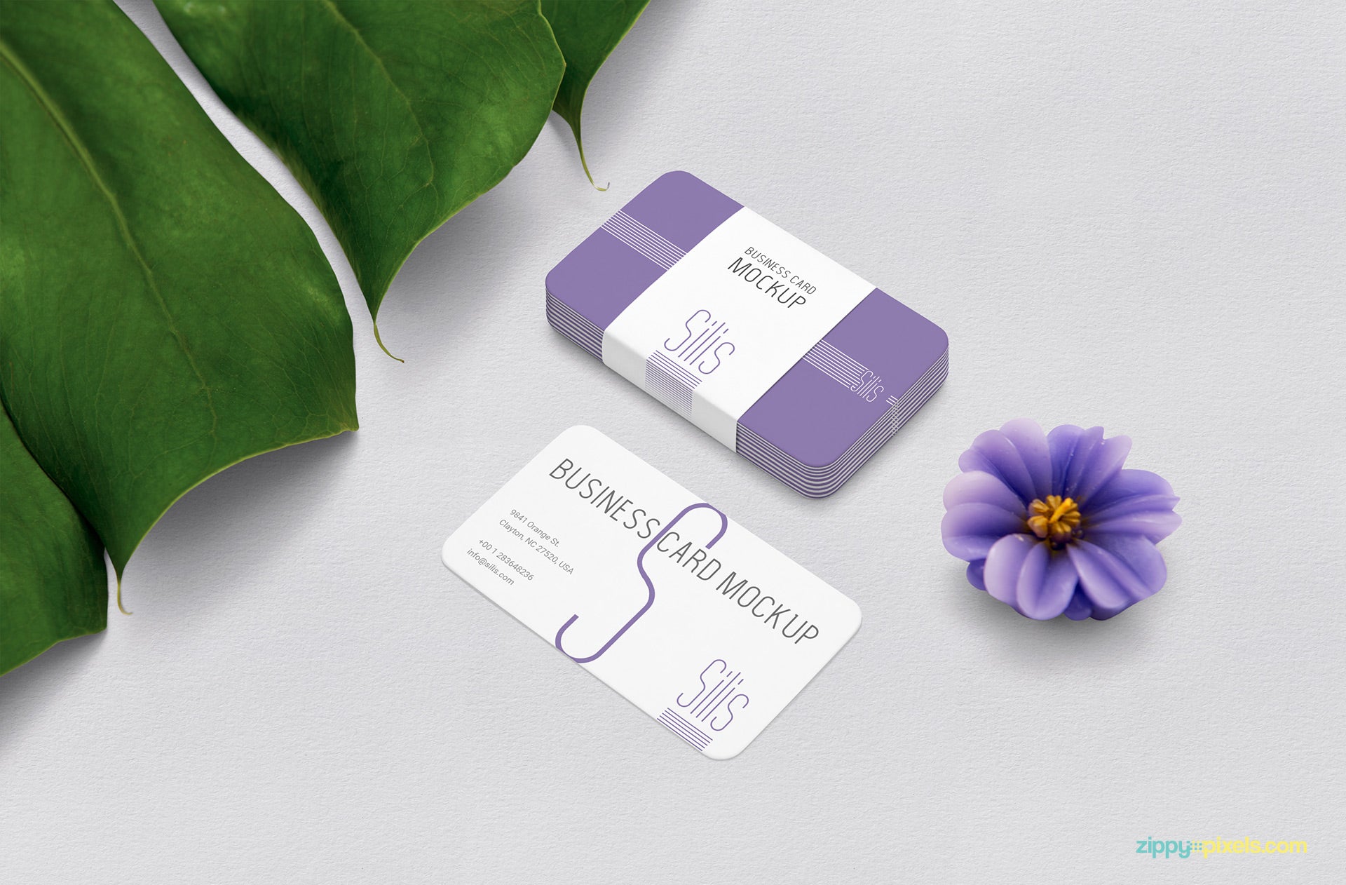 Business Card Mockup PSD