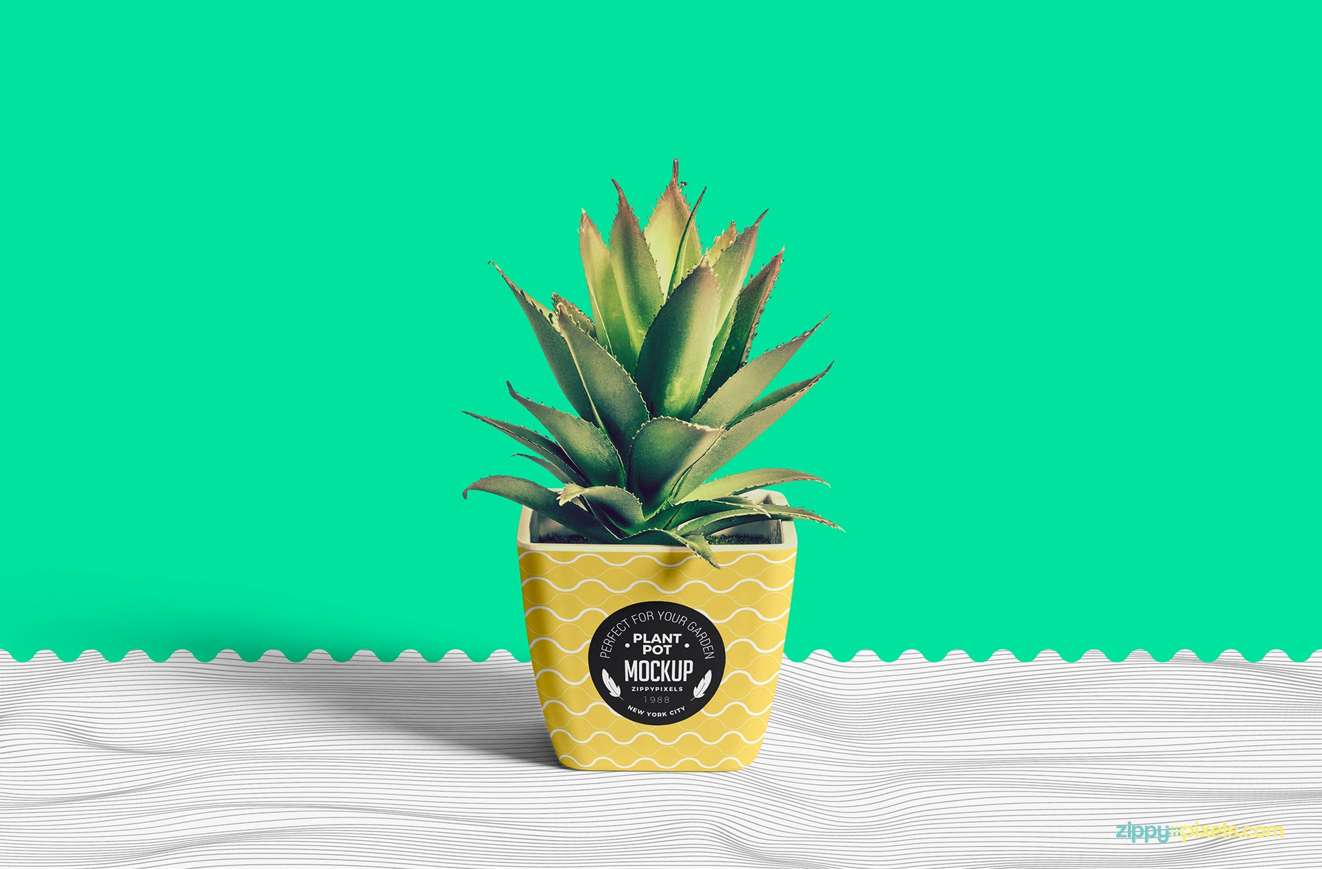 Flower Pot Mockup