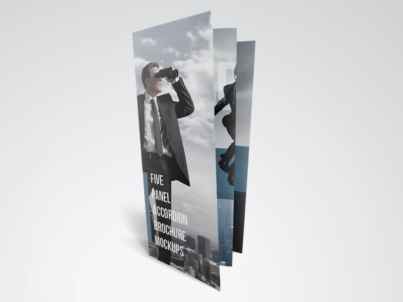 Five Panel Brochure Mockups Collection