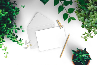 Fresh Greeting Card Mockup with Green Leaves and plants