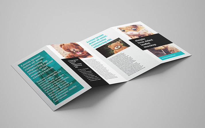 4-panel Leaflet Brochure Mockup 5 Angles or Views