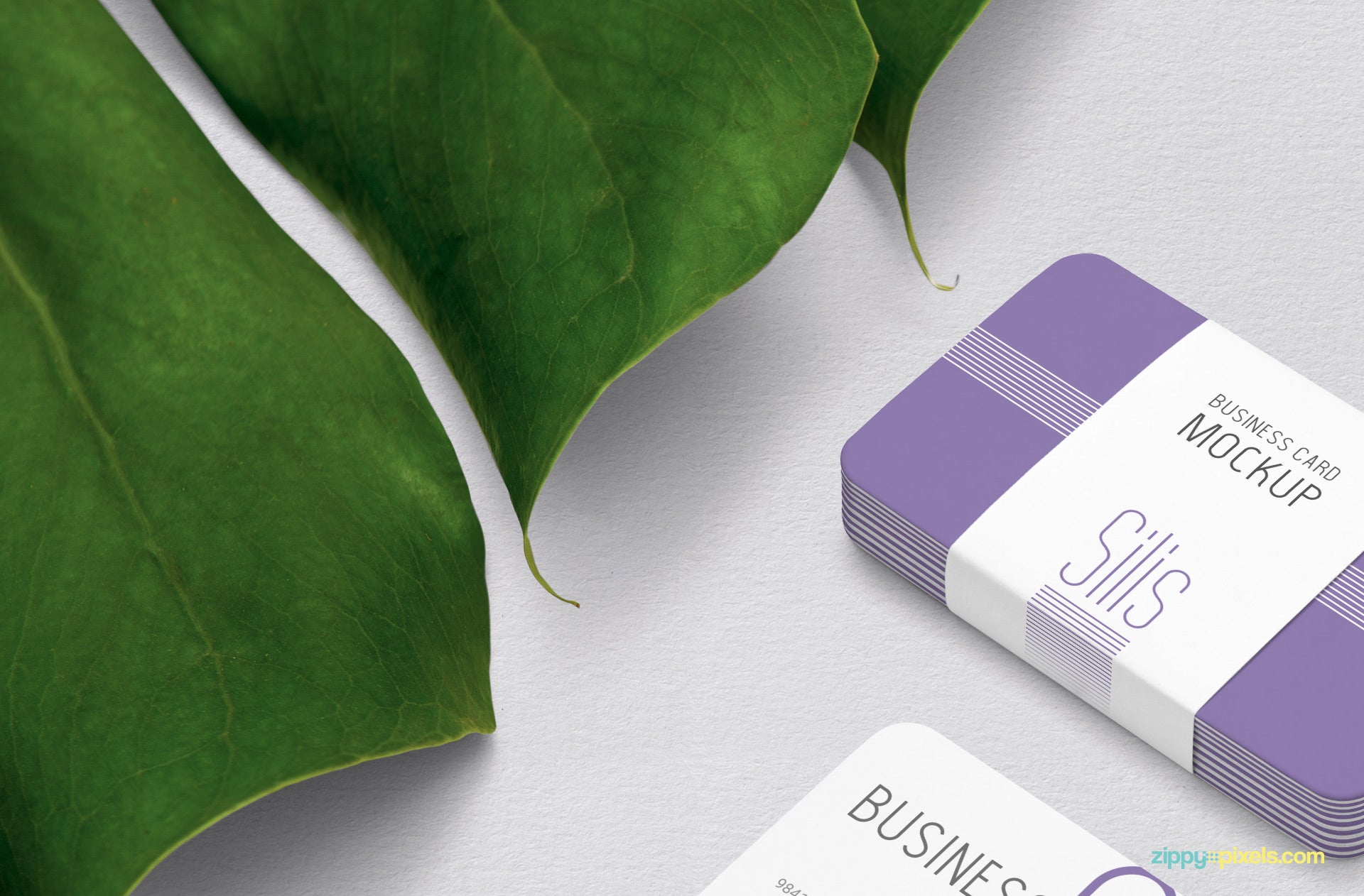 Business Card Mockup PSD