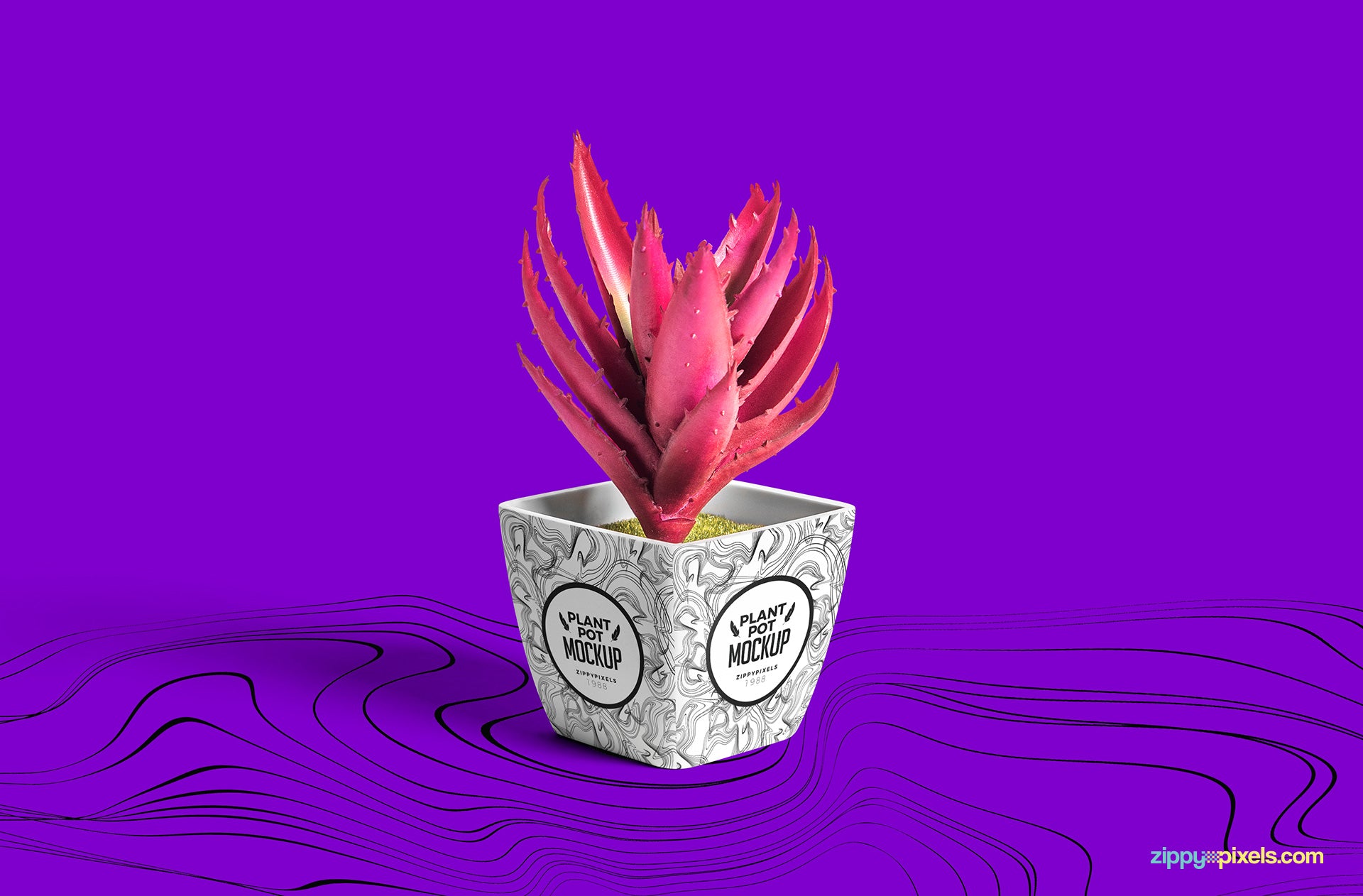 Plant Pot Mockup
