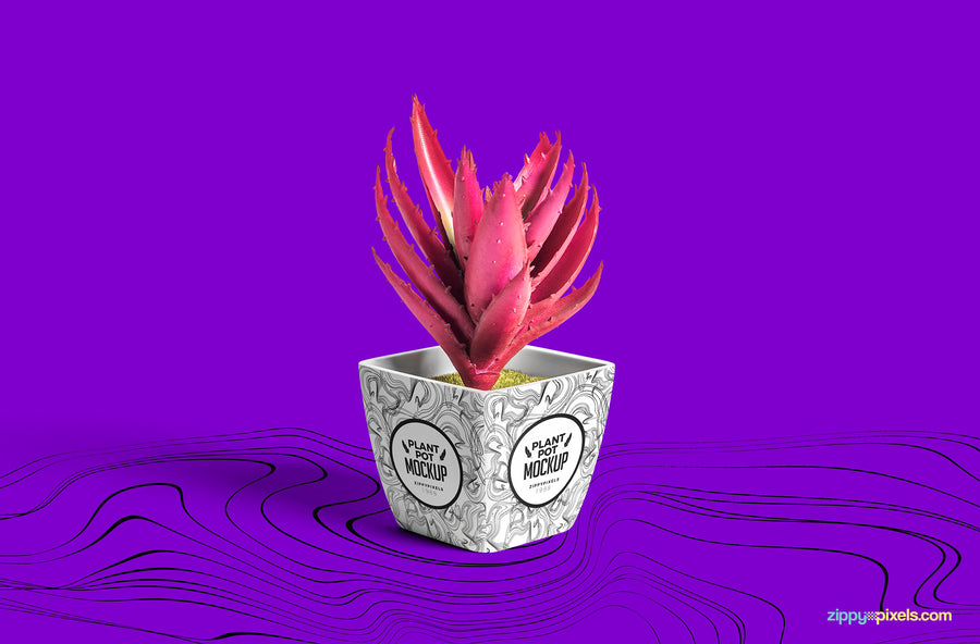 Plant Pot Mockup
