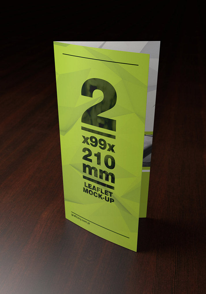 3 x Double DL Leaflet Mockup