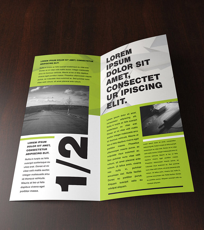 3 x Double DL Leaflet Mockup