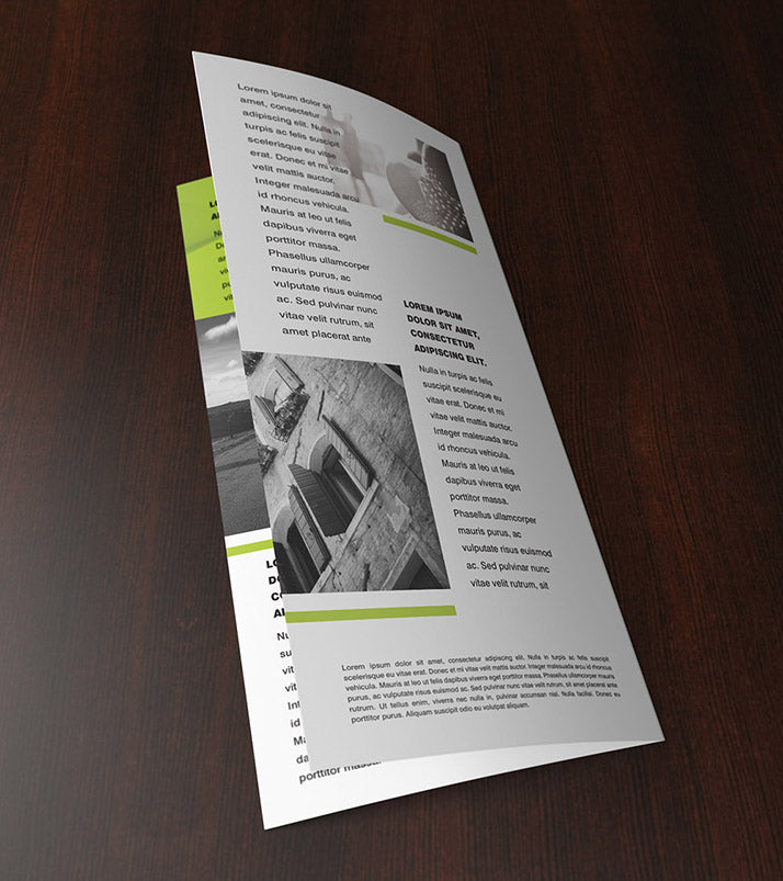 3 x Double DL Leaflet Mockup