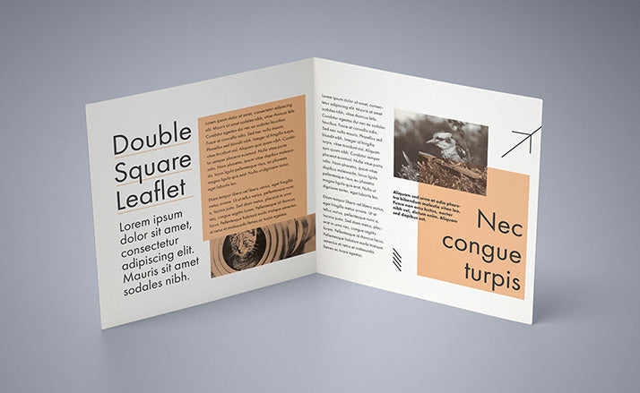 Set of 5 Double Square Leaflet Mockups