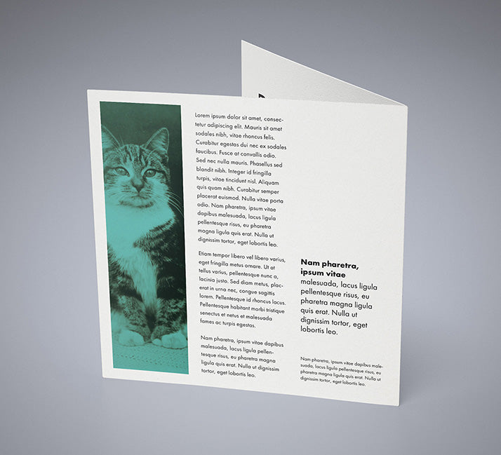 Set of 5 Double Square Leaflet Mockups