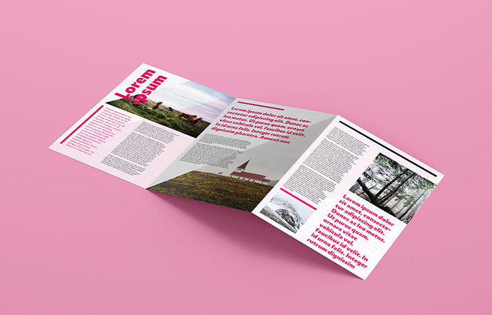 Collection of 5 Trifold Leaflet Mockups