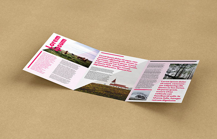 Collection of 5 Trifold Leaflet Mockups