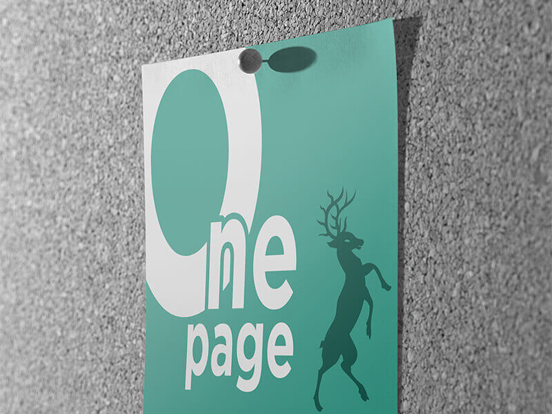 One Page Flyer Mockup