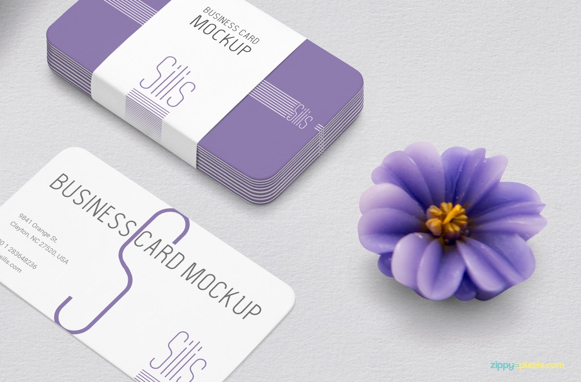 Business Card Mockup PSD
