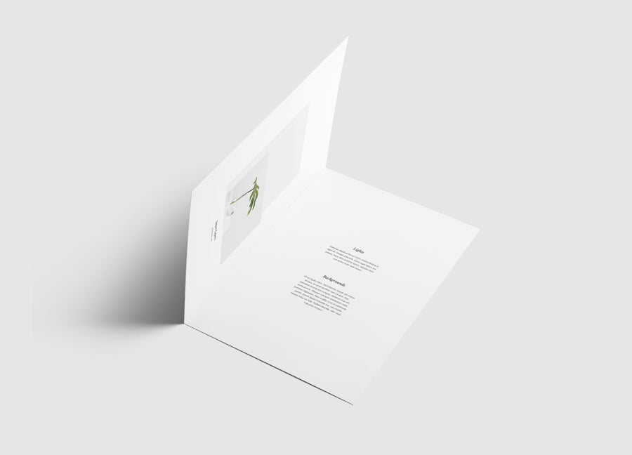 A4 Bifold Brochure Mockup