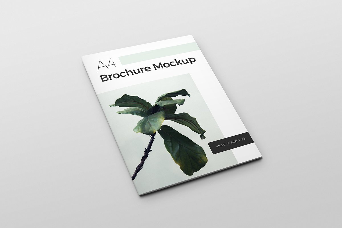 A4 Brochure Mockup For Photoshop
