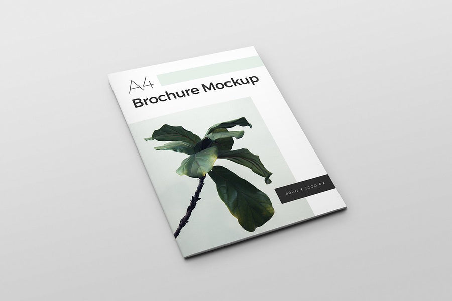 A4 Brochure Mockup For Photoshop