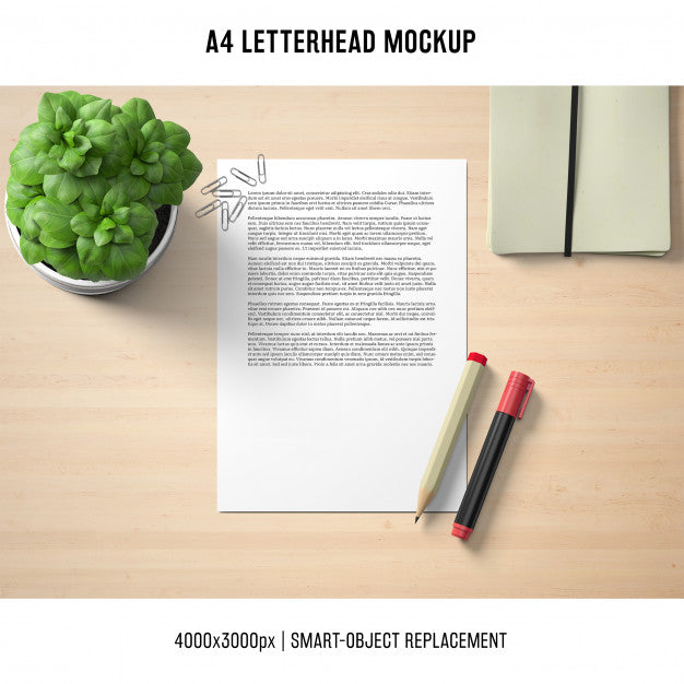 A4 Letterhead Mockup With Basil Psd