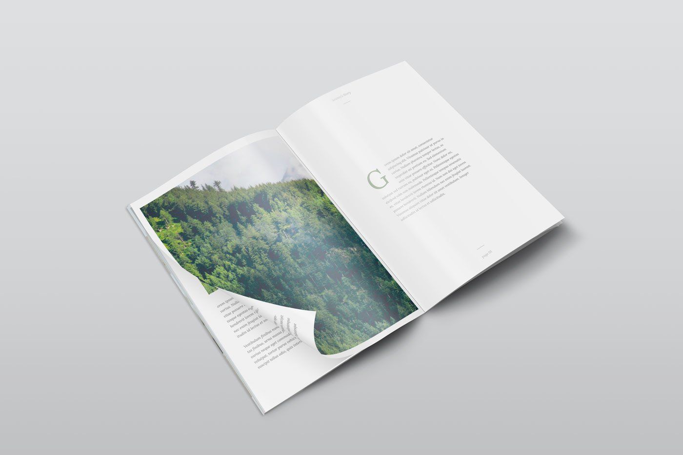 A4 Psd Magazine Mockup Isometric View