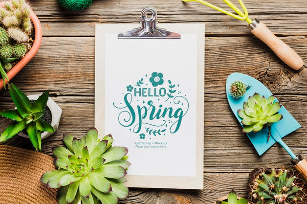 Above View Gardening Tools On Wooden Table Psd