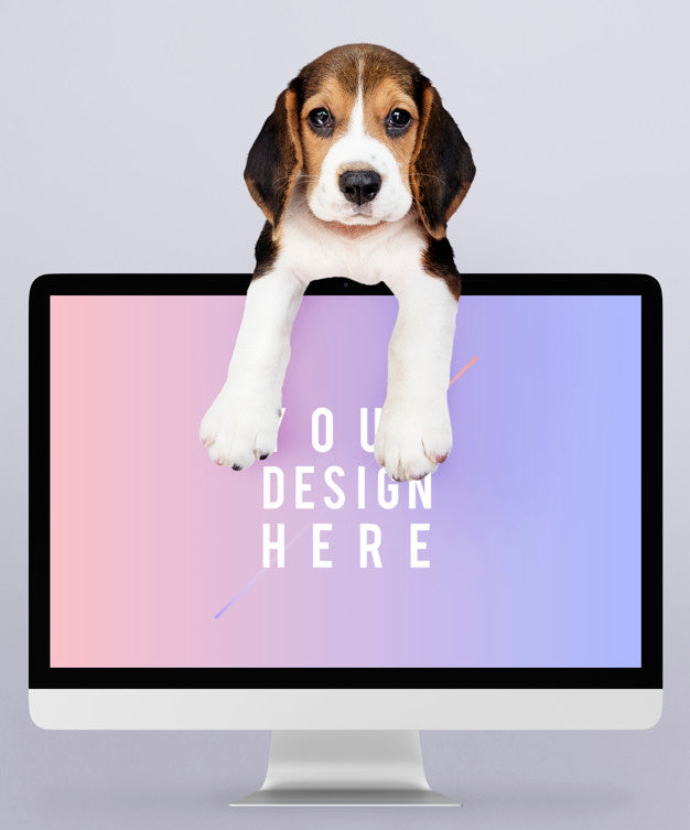 Adorable Beagle Puppy With A Computer Monitor Mockup Psd