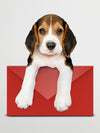 Adorable Beagle Puppy With A Red Envelope Mockup Psd