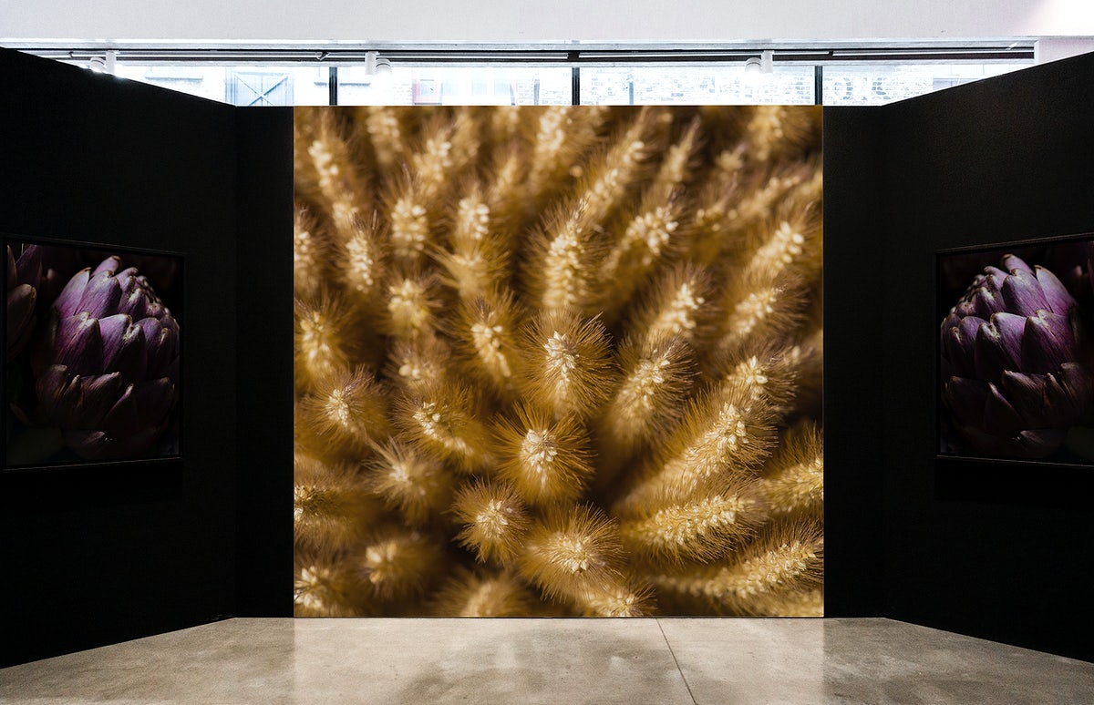 Artistic Gallery Booth With Flowers On The Wall