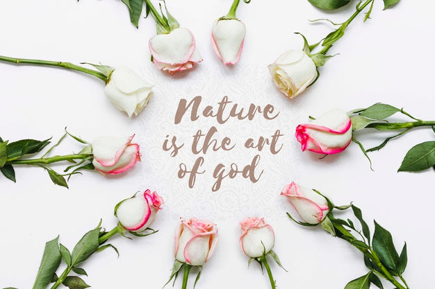 Assortment Of Beautiful Flowers Concept Psd