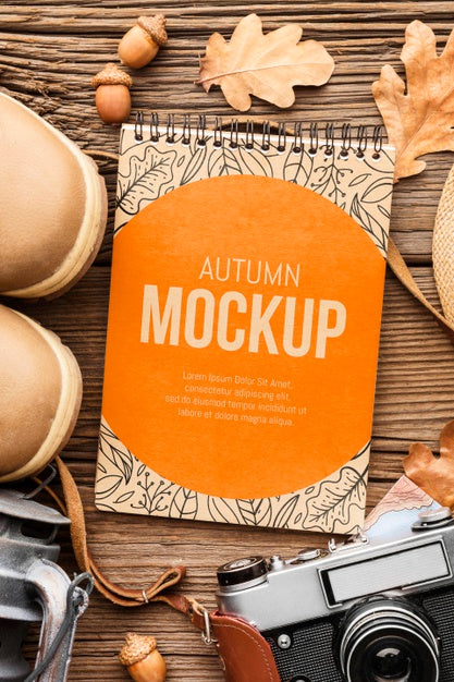 Autumn Shoes And Camera Psd