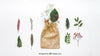 Bag Mockup And Different Leaves Psd