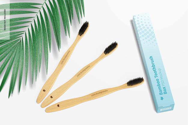 Bamboo Toothbrushes With Box Mockup Psd