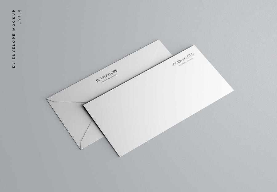 Baronial Dl Envelope Mockup
