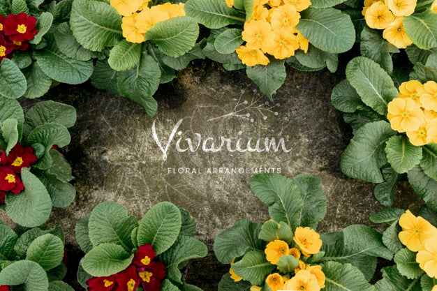 Beautiful Flower Concept Mock-Up Psd