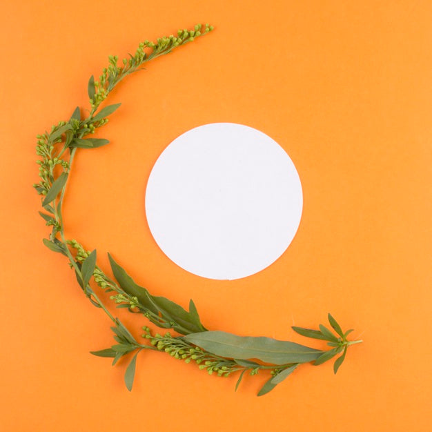 Beautiful Flower Concept Mock-Up Psd