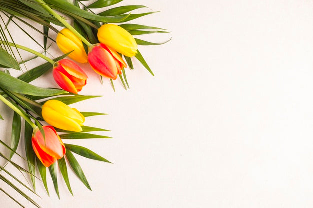 Beautiful Flower Concept Mock-Up Psd